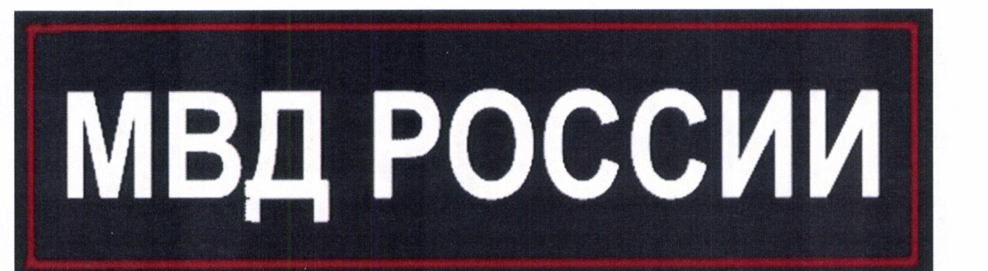 Сотрудники полиции