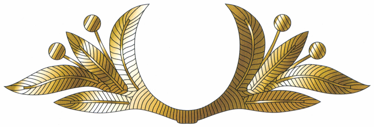 35. PHcyHOK HTbA 3OJOTHCTOrO HBeTa Ha TyJIbe ΦypaKKH ⅢepcTAHO,