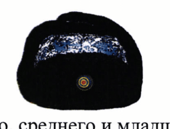 Рисунок 18: вышитая кокарда старшего, среднего и младшего состава