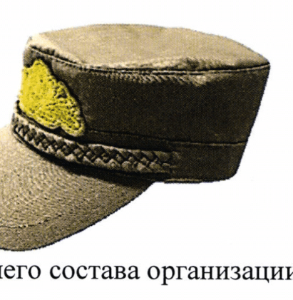 Рисунок 44: кокарда высшего состава на песочном кепи
