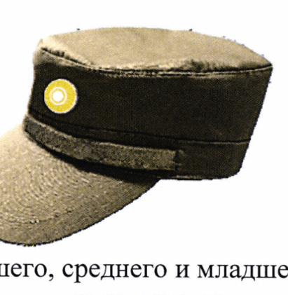Рисунок 44: кокарда на песочном кепи