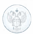 Приложение 1, с. 11, форменная пуговица 17 мм. Приказ Минтранса России от 21.03.2017 № 109 — исходные рисунки Росавтодора, PDF с.13. Точный фрагмент официального скана без дорисовки и коррекции цвета. Изображение не подтверждает соответствие товара; последующие редакции НПА отдельно не аудированы.