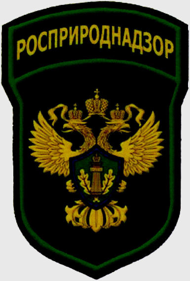 Рисунок 100: нарукавный знак государственных инспекторов. Приказ Росприроднадзора от 02.04.2026 № 173 — графические образцы, встроенный файл word/media/image101.jpeg. Пиксели исходного JPEG сохранены в PNG без дорисовки и изменения цвета. Изображение не подтверждает соответствие товара БлокПОСТ.