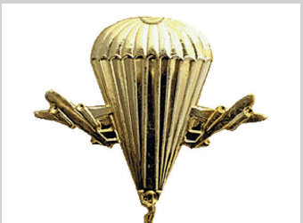 Петличный знак ВДВ, золотистый, 23 × 25 мм
