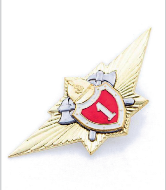 Специалист первого класса
