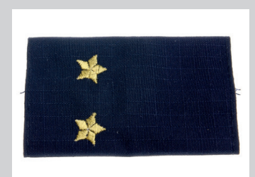 Лейтенант полиции / внутренней службы / юстиции