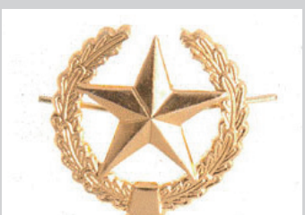 Петличный знак, металлический