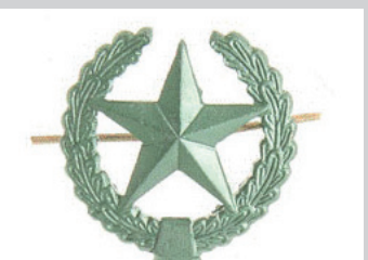 Петличный знак, защитный