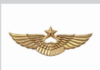 Знак различия авиационного персонала