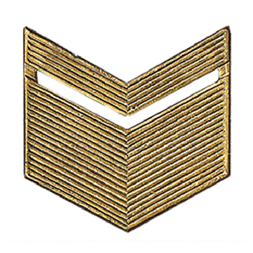 Фото товара-кандидата БлокПОСТ, артикул 00817: Лычка старшина (золотая, металл). Видна металлическая угловая лычка; число узких/широких углов соответствует названию SKU. Ширина, материал и ведомственная применимость требуют проверки. Это не нормативный рисунок и не подтверждение соответствия уставу.